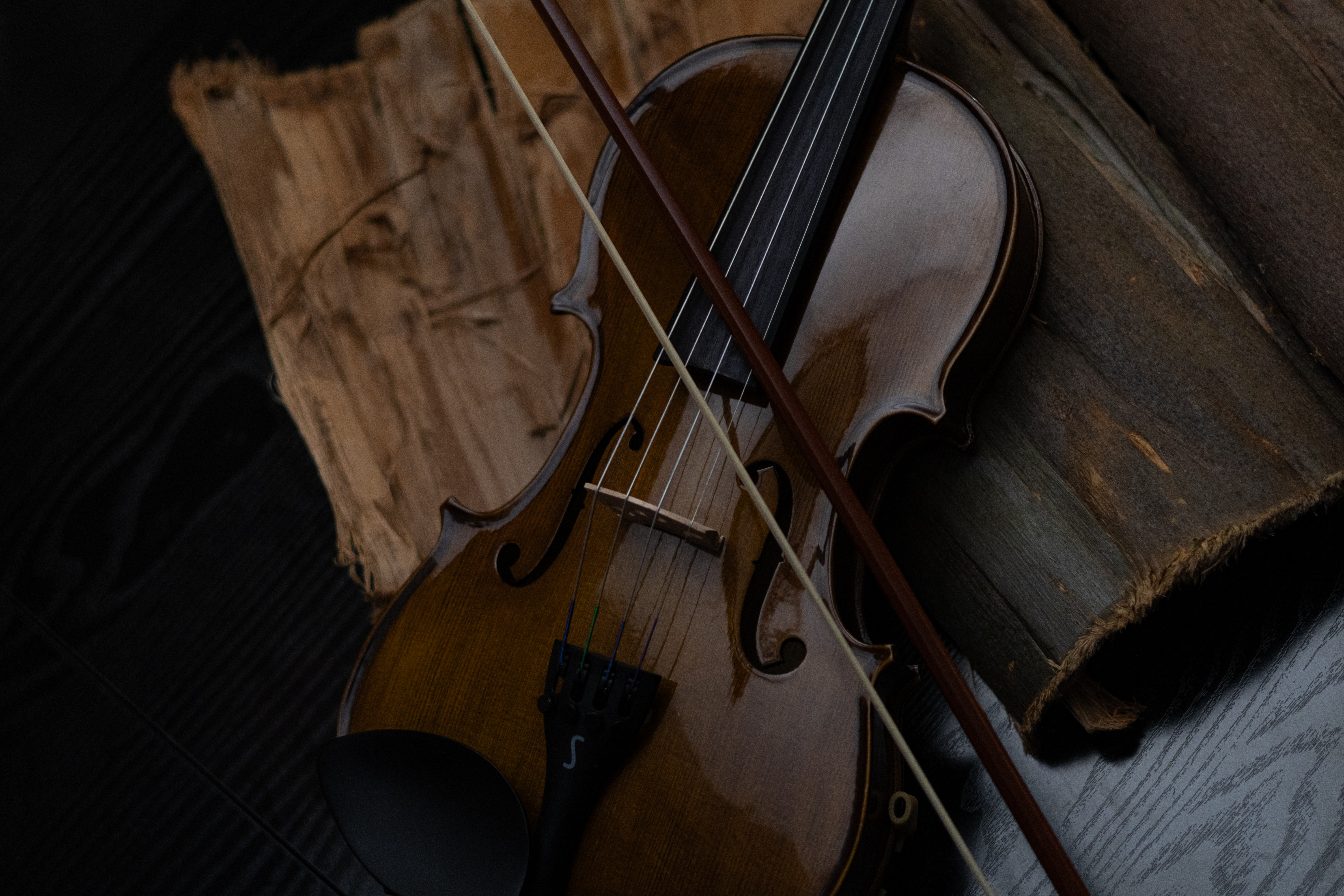 Viola de Arco